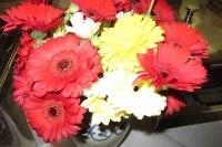 Restaurant-und-Saal (20)